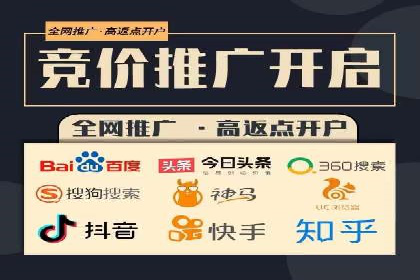 SEM推广策略：成功案例解析