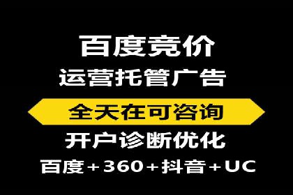 揭秘成功的关键词竞价排名背后的策略与执行