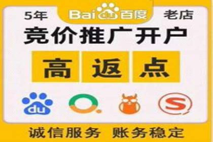 专业SEM托管：企业广告投放的明智之选